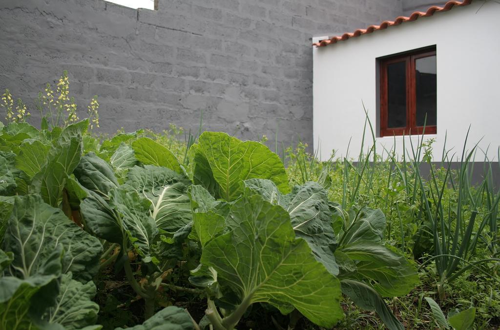 Casa Azul Natura Ponta Delgada  Luaran gambar